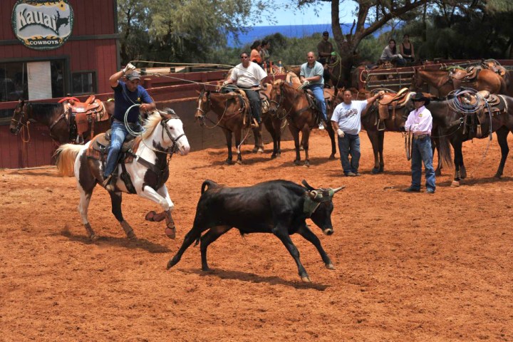 a group of people riding on the back of a brown horse