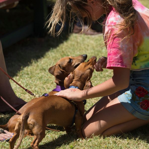 a person and a dog sitting in the grass