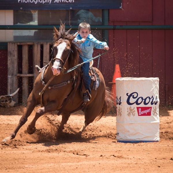 a person riding a horse
