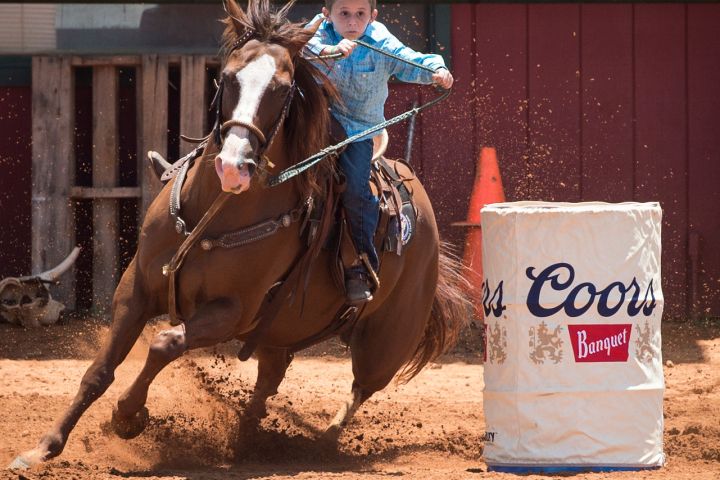 a person riding a horse