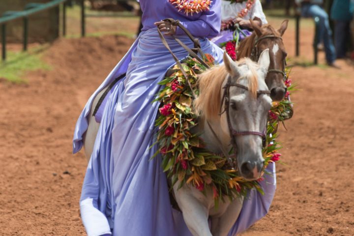a person riding a horse in the dirt