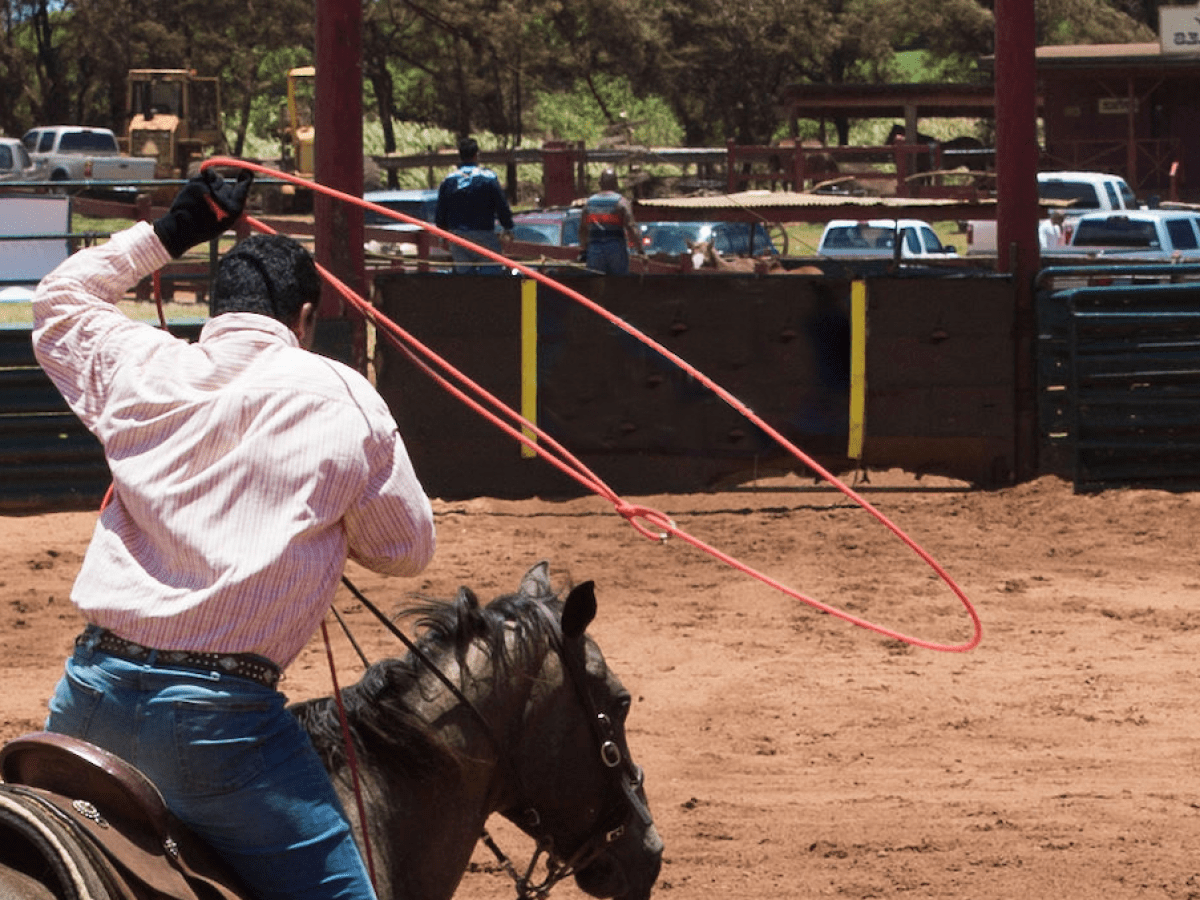 a person riding a horse