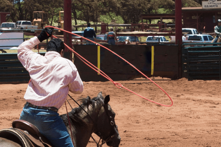 a person riding a horse