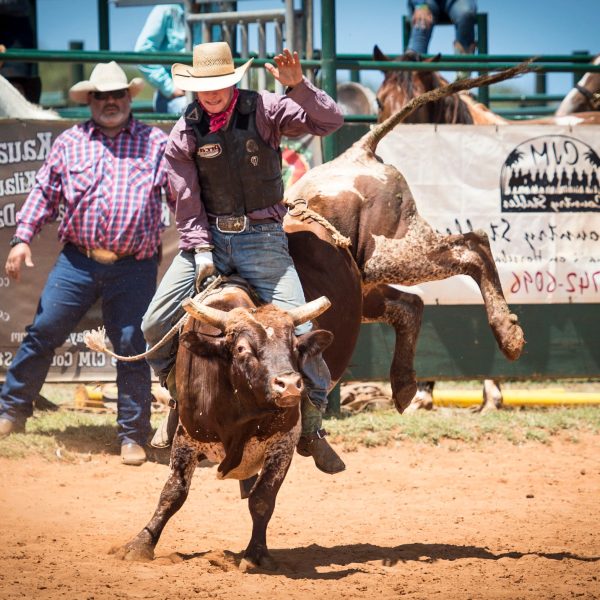 a group of people riding on the back of a cow