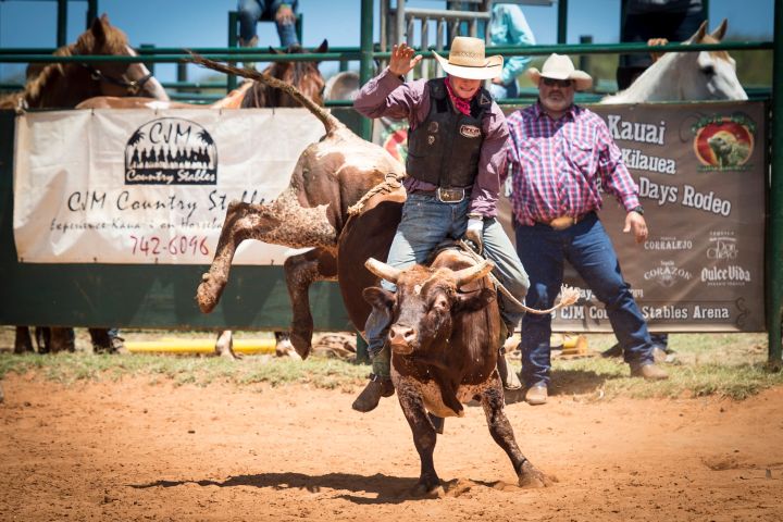 a group of people riding on the back of a cow