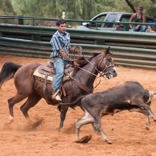 a man riding a horse in the dirt