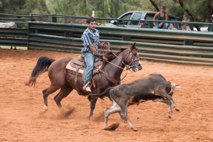 a man riding a horse in the dirt