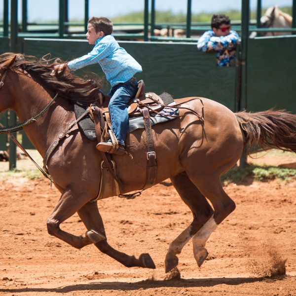 a person riding a horse in the dirt