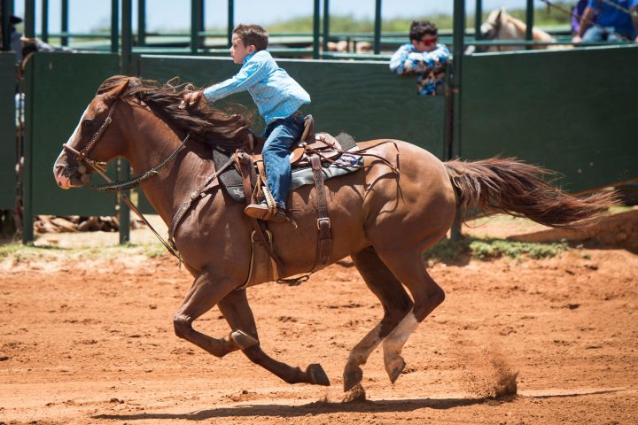 a person riding a horse in the dirt