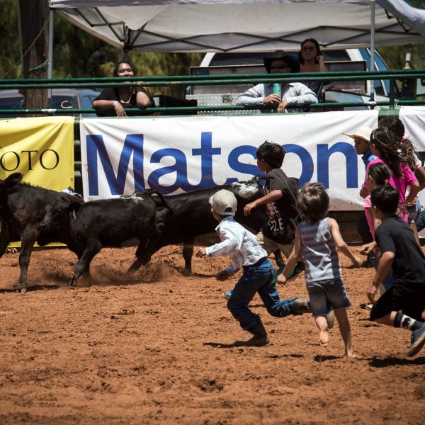 a group of people standing next to a horse