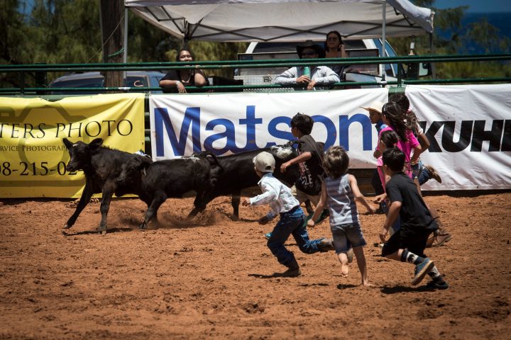 a group of people standing next to a horse