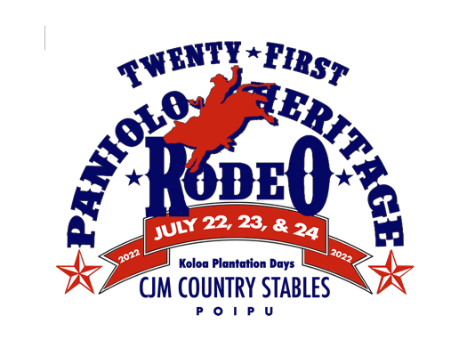 fireworks in the sky