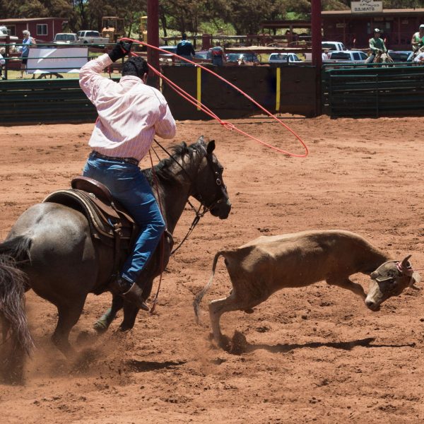 a man riding a horse in the dirt