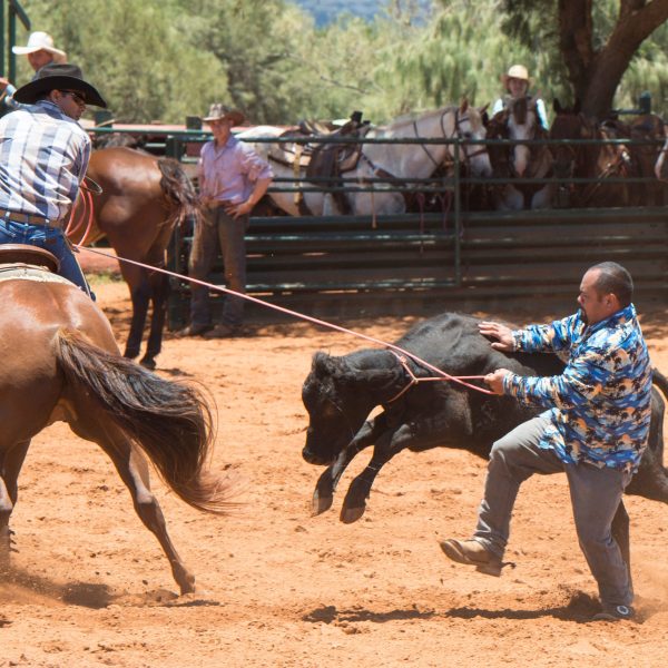 a person riding a horse in the dirt