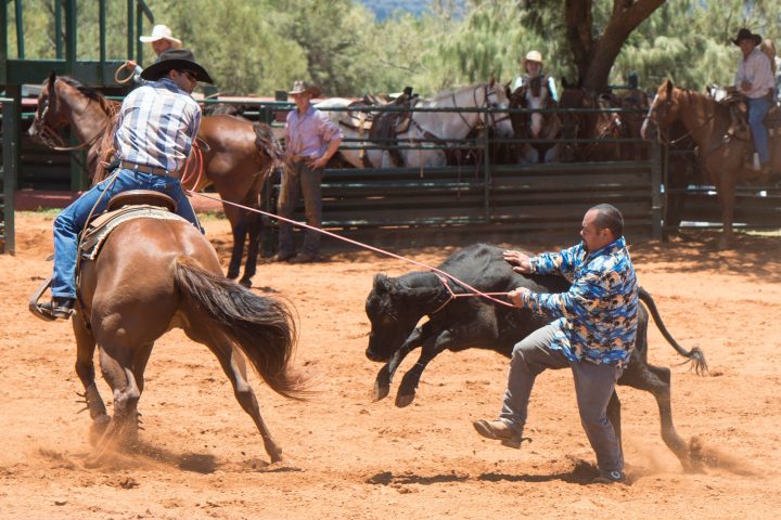 a person riding a horse in the dirt