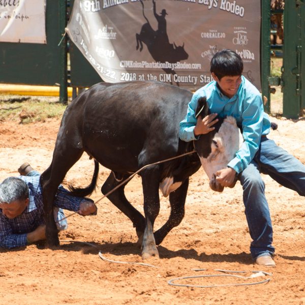 a man riding a horse in the dirt