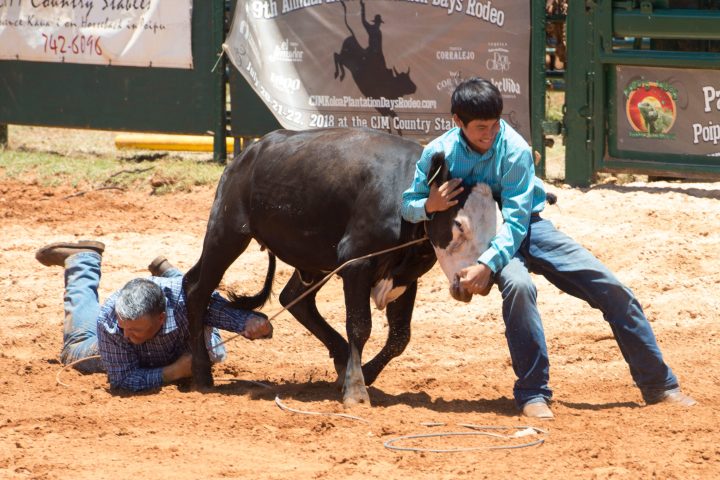 a man riding a horse in the dirt