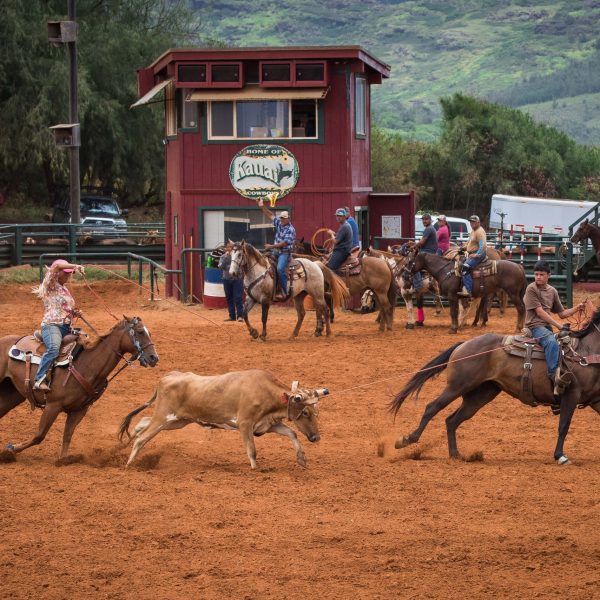 a group of people riding on the back of a horse