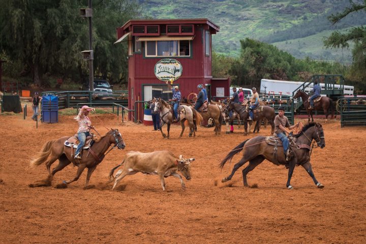 a group of people riding on the back of a horse
