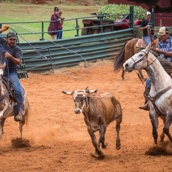 a man riding a horse in the dirt