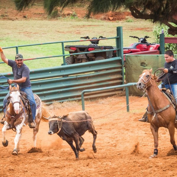 a person riding a horse in a dirt field